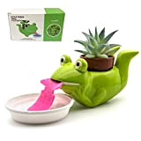 JHCtech Watering Animal Planter,Self Watering Planter Drinking Animal Tongue,Cute Style Ceramic Mini Backpack Plant Pot by (Frosch 1)