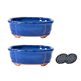 Jinfa | Set di 2 vasi per bonsai in ceramica smaltata con fori di drenaggio e 2 griglie filtranti | ...