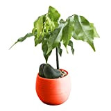 JWDS Vaso da Fiori 4Pcs Flower Pots Mini Flowerpot Garden Nursery Pots Per Piante Succulente Desktop Flower Pots Home Decor