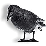 KADAX Corvo nero in Plastica, Spaventa Piccioni, repellente per piccioni in Plastica, Repellente per Uccelli, Spaventapasseri Riproduzione Realistica