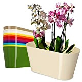 Kadax Flowerpot fatto di plastica, 27 x 13 cm, vaso largo, pentola a pianta ovale, tappeto di fiori per orchidee, ...