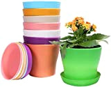 KAHEIGN 8 Pezzi 14cm Vasi per Piante in Plastica Colorati, Vasi da Fiori per Interni da 8 Colori con Contenitore ...