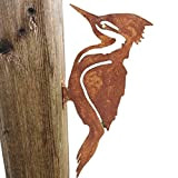 Kaikso-In Sagome in metallo con palo da giardino, picchio, uccellino arrugginito, in ferro battuto, scultura artistica per esterni, giardino, giardino, ...