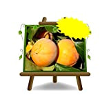 Kaki Mela var. Jiro - Pianta da frutto Antico su vaso da 26 - albero max 200 cm - 4 ...