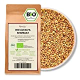 Kamelur BIO Alfalfa Sprouts Seeds - Semi Di Erba Medica Bio, Semi Di Germinazione Senza Additivi - Semi Di Erba ...