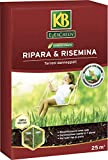 KB Sementi Evergreen Ripara & Rinsemina, 500g