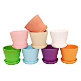 KINGLAKE 16 pezzi vasetti per piantine 10 cm vaso giardinaggio vaso da fiori in plastica vasi colorati vasi piccoli , ...