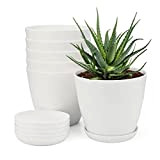 KINGLAKE 6 pezzi 14cm Vasi per piante in plastica Fioriere da esterno Fioriere da giardinaggio per interni Balcone Ufficio all'aperto, ...