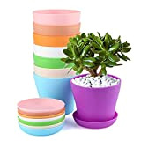 KINGLAKE 8 Pezzi di vasi da Fiori in plastica Colorata da 10 cm, usati per Fiori, Decorazione d'interni, Ufficio e ...