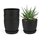 KINGLAKE 8 vasi da fiori in plastica nera spessa da 10 cm con vassoi per piante grasse piccole piante in ...