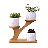 kiss me Vasi per piante grasse con portapiante, piccoli vasi da fiori con supporto, vasi in ceramica per cactus perfetti ...