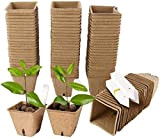Kit per la coltivazione del giardino Mini serra per semi, 80 pezzi di vasi per piante con etichette per piante ...