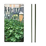 Kofun, supporto per piante rampicanti e fiori, strumento da giardinaggio, 60 cm, Tubo in acciaio al carbonio + plastica PP., ...