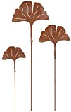 KOTARBAU® Ecorost - Set di decorazioni da giardino in metallo arrugginito, da inserire in giardino, foglie di gingko