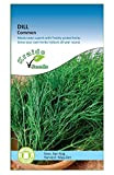 Kraido Semi di Erbe Aromatiche - Aneto 500 semi (Anethum Graveolens) - coltiva il tuo giardino di erbe aromatiche all'interno ...