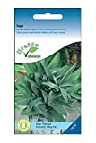 Kraido Semi di Erbe Aromatiche Salvia 200 semi (Salvia Officinalis), coltiva il tuo giardino di erbe aromatiche all'interno su un ...