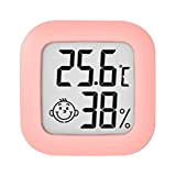 Kripyery - Igrometro digitale per interni; misuratore accurato di temperatura e umidità, per casa, ufficio, serra, formato mini, colore rosa