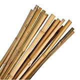 KULTIVERI Tutori in bambù Ø 6-8 mm, Confezione 25 unità. Tutori per pomodori e per fissare piante (180 cm)