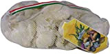 L'ortolano BA00065 bulbi di aglio bianco da semina nazionale in confezione da 500 grammi