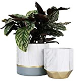 LA JOLIE MUSE Set di 2 vasi per piante e fiori in ceramica bianca, contenitori in marmo per piante con ...