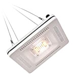 Lampada per Piante, PDGROW Spettro Completo Lampada per Coltivazione Dimmerabile Luce per Piante Impermeabile 300W HPS Equivalenti 42PCS LEDs con ...