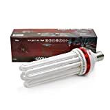Lampadina a basso consumo CFL PURE LIGHT 250 W BLOOM 2700 K
