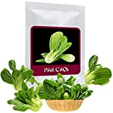 Lattuga asiatica Pak Choi 100 semi (Brassica rapa) - la verdura perfetta per la cucina asiatica