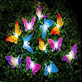 LEDMOMO, striscia di luci a LED a energia solare, multicolore, a forma di farfalla, impermeabili, per esterni, giardini, terrazze, feste