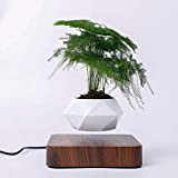 Levitazione magnetica Galleggiante aria Bonsai ornamenti creativi Rotazione pianta in vaso Sospensione Vaso di Fiori Home Desk Decor (marrone scuro)