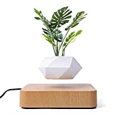 Levitazione magnetica Galleggiante aria Bonsai ornamenti creativi Rotazione pianta in vaso Sospensione Vaso di Fiori Home Desk Decor (marrone chiaro)