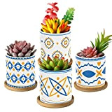 Lewondr Set di Mini Vasi per Piante Grasse, 4 Pezzi Vasi Cilindrici Decorativi in Ceramica con Rivestimento di Motivi Simmetrici ...