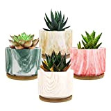 Lewondr Vaso da Fiori, 4 Pezzi Mini Vasi per Succulenti in Ceramica Vasi per Piante Piccole con Vassoio di bambù, ...