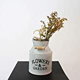Lifetime Garden - Vaso da fiori con manico