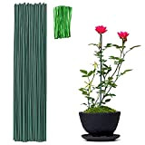 Lifreer - Bastoncini di supporto per piante, 40 cm, colore verde, per piante, fiori e fiori, supporto per spacco e ...
