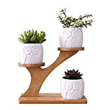 LINGLAN 1 set gufo in ceramica vasi da giardino moderno decorativo cameretta succulente piante vasi da fiori fioriere 3 bonsai ...