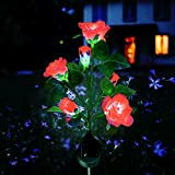 Luci Giardino Energia Solare, XVZ Giardino di rose solare, con 6 fiori di rosa, impermeabili, ideali per la decorazione di ...