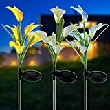 Luci Solari per Esterni da Giardino, 3 pezzi Calla Lily luce solare con 5 teste, pali da giardino che cambiano ...