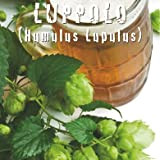 LUPPOLO (Humulus Lupulus) - SEMI