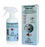 M'MA PETS - Repellente Ragni Spray Naturale, 500ml - Allontana e Scaccia Ragni - Evita formazione Ragnatele - Per Ambienti ...