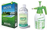Maciste, Sementi per tappeto erboso ideale per zone aride 1Kg + Green Up Lt 1 Rinverdente Acidificante Antimuschio per Tappeti ...