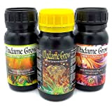 MADAME GROW - Kit Growth Basic - Nutri la Tua Cannabis o Piante di Cannabis Durante Il Tuo Ciclo Senza ...