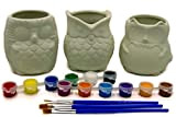 Matty's Garden - Set di 3 vasi per piante grasse, in ceramica, per fai da te, con foro di drenaggio, ...