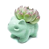 MengCat Fai da Te Cartoon Flowerpot Simpatici vasi in Ceramica Ceramica Decorativa Domestica Vaso d'Arte Verde a Forma di Animale
