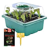 Mini serra semenzaio di germinazione- 12 compartimenti per le vostre piantine. Set completo di 1 vassoio 1 coperchio di plastica ...