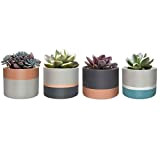 Mini vasi in cemento per piante grasse o cactus, stile moderno, per giardino, balcone, ufficio, compleanno