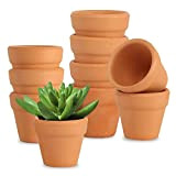 Mini vasi in terracotta, 10 pezzi, piccoli vasi in terracotta, 3 cm, per piante grasse, mini vasi di terracotta, per ...