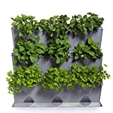 Minigarden Vertical 1 Set per 9 Piante, Giardino Verticale Modulare e Espandibile, Posizionato sul Pavimento o Fissato al Muro, Sistema ...