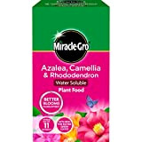 Miracle-Gro 1 kg Azalea, Camelia e Rhododendron Pianta Nutrizione risolvibile