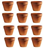 Molyorch 12 Pezzi vasi in Terracotta,Vaso Terracotta in Argilla Rosso, Piante Terracotta Piccolo Vaso, Argilla Set Vaso, per Matrimonio Compleanno ...