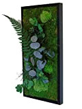 Myvegetal HM quadro vegetale stabilizzato eucalipto senza manutenzione - tavola di piante e decorazione murale per interni, piante e fiori ...